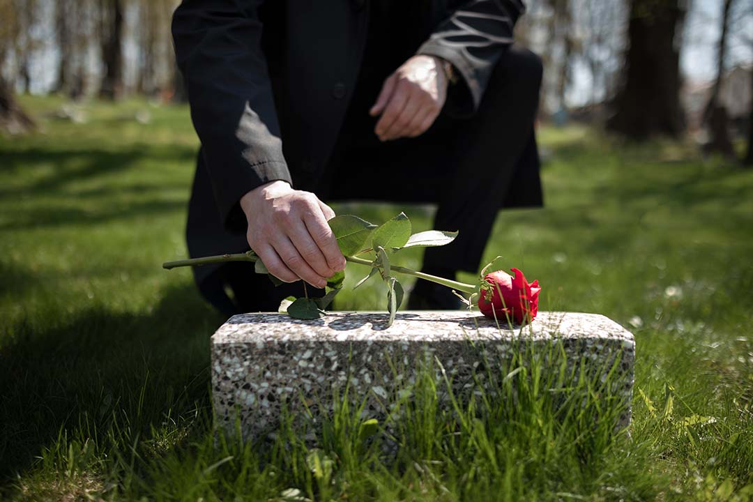 man-bringing-rose-tombstone-cemetery1